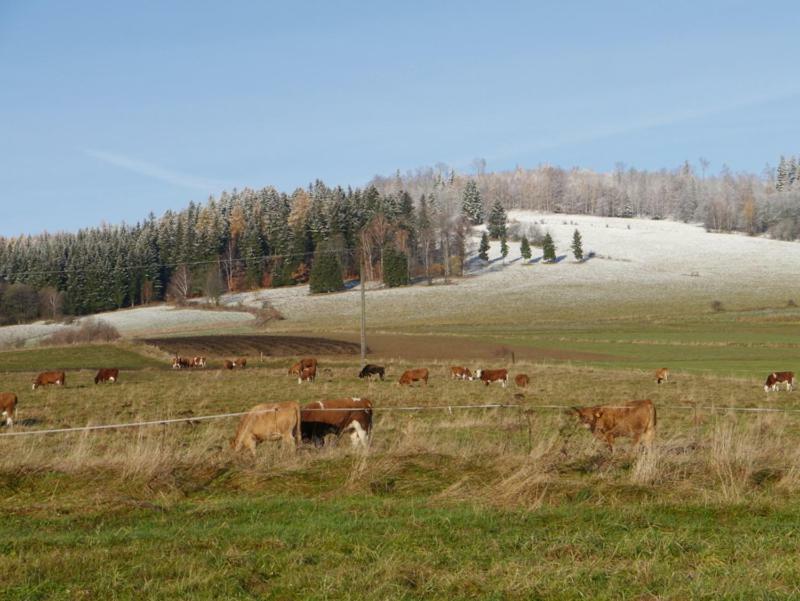 Pod Kasztanem Gospodarstwo Agroturystyczne Stronie Śląskie Esterno foto